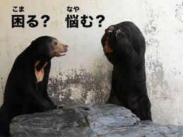 實用日語生活口語-苦惱爲難各式詞句彙整